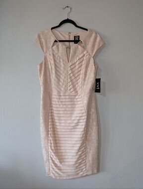 16 NWT Jax Champagne Pink Lace Sheath Dress